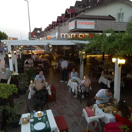 Mimoza Hotel-2